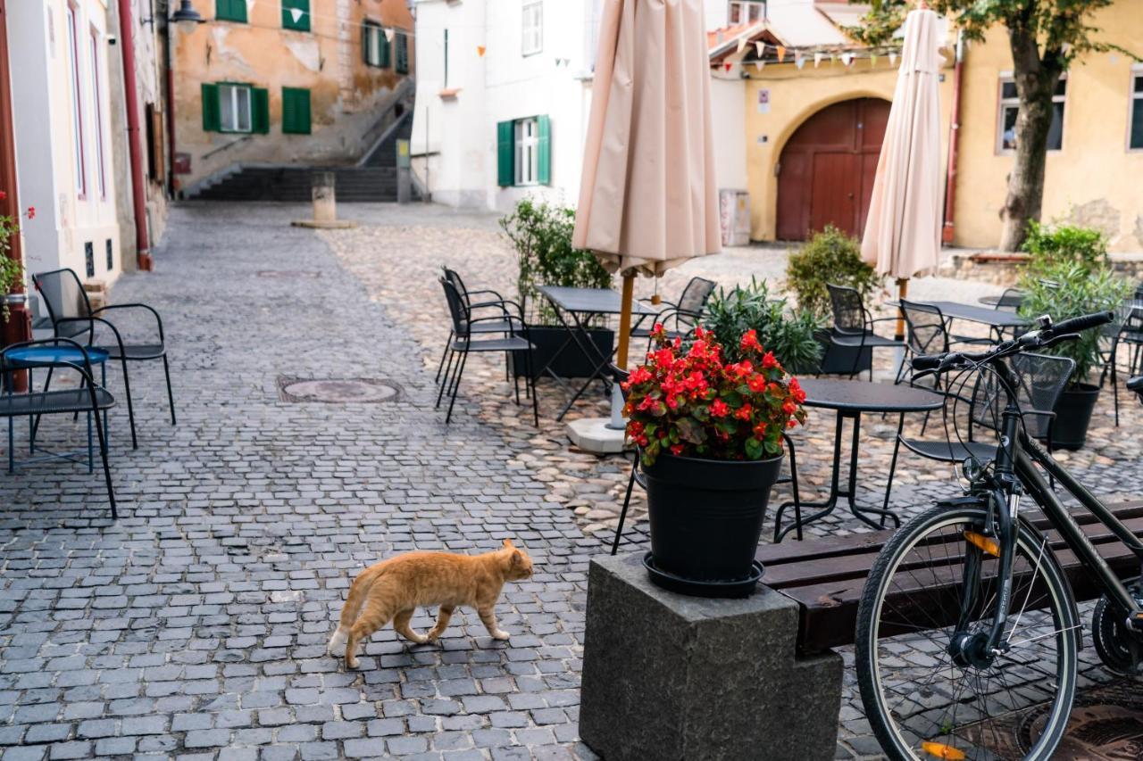 Charming Studio Ideal For Getaways Or Workations In Sibiu'S Medieval City Center Extérieur photo